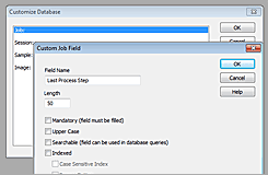 Custom Field Window