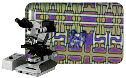 Light Microscopes