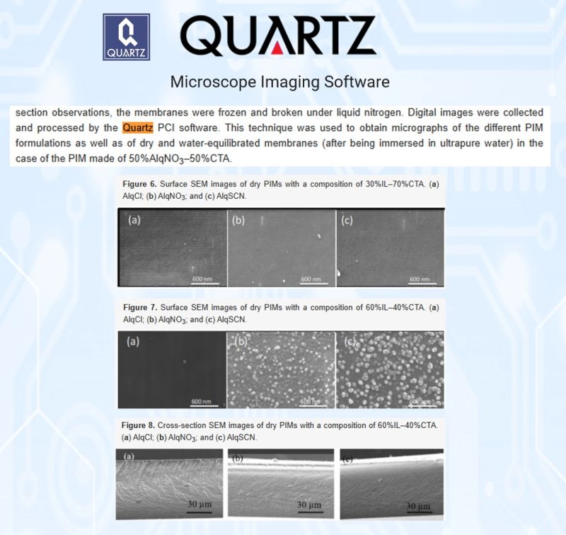 SEM surface and cross-section images of dry polymer inclusion membranes with Aliquat 336 derivatives, captured with Quartz PCI
